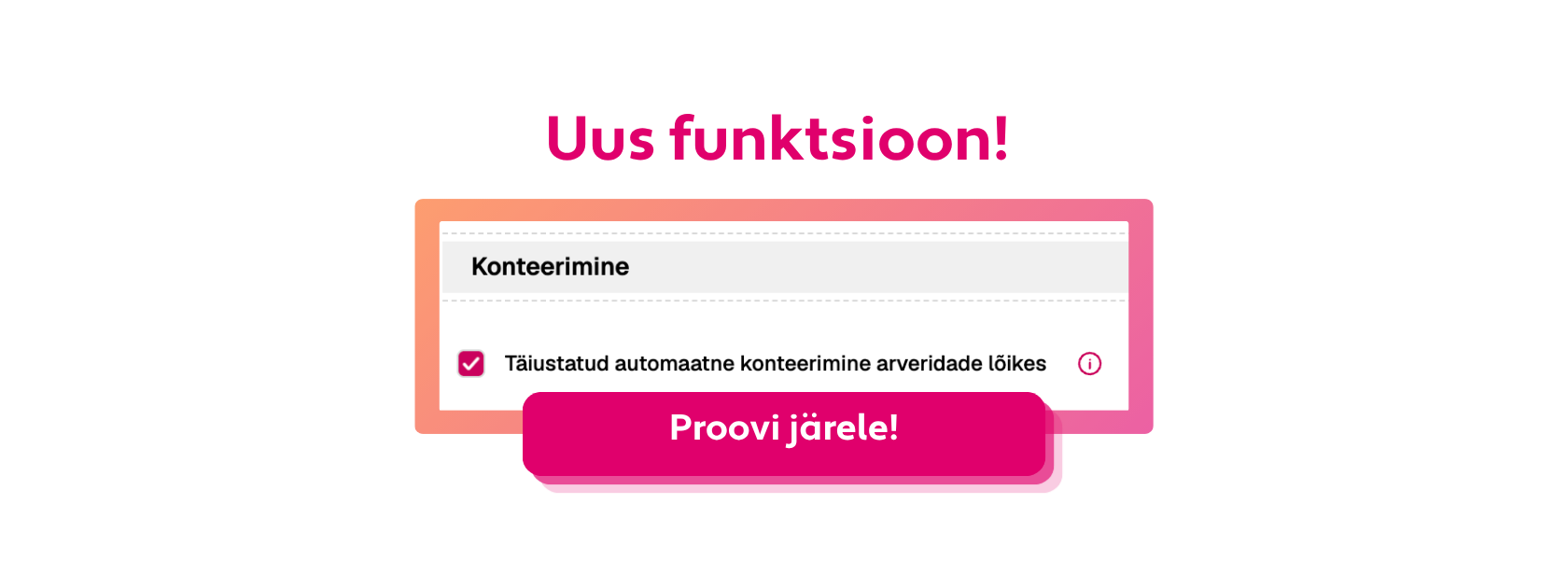 Finbite automaatne konteerimine ostuarve ridadel
